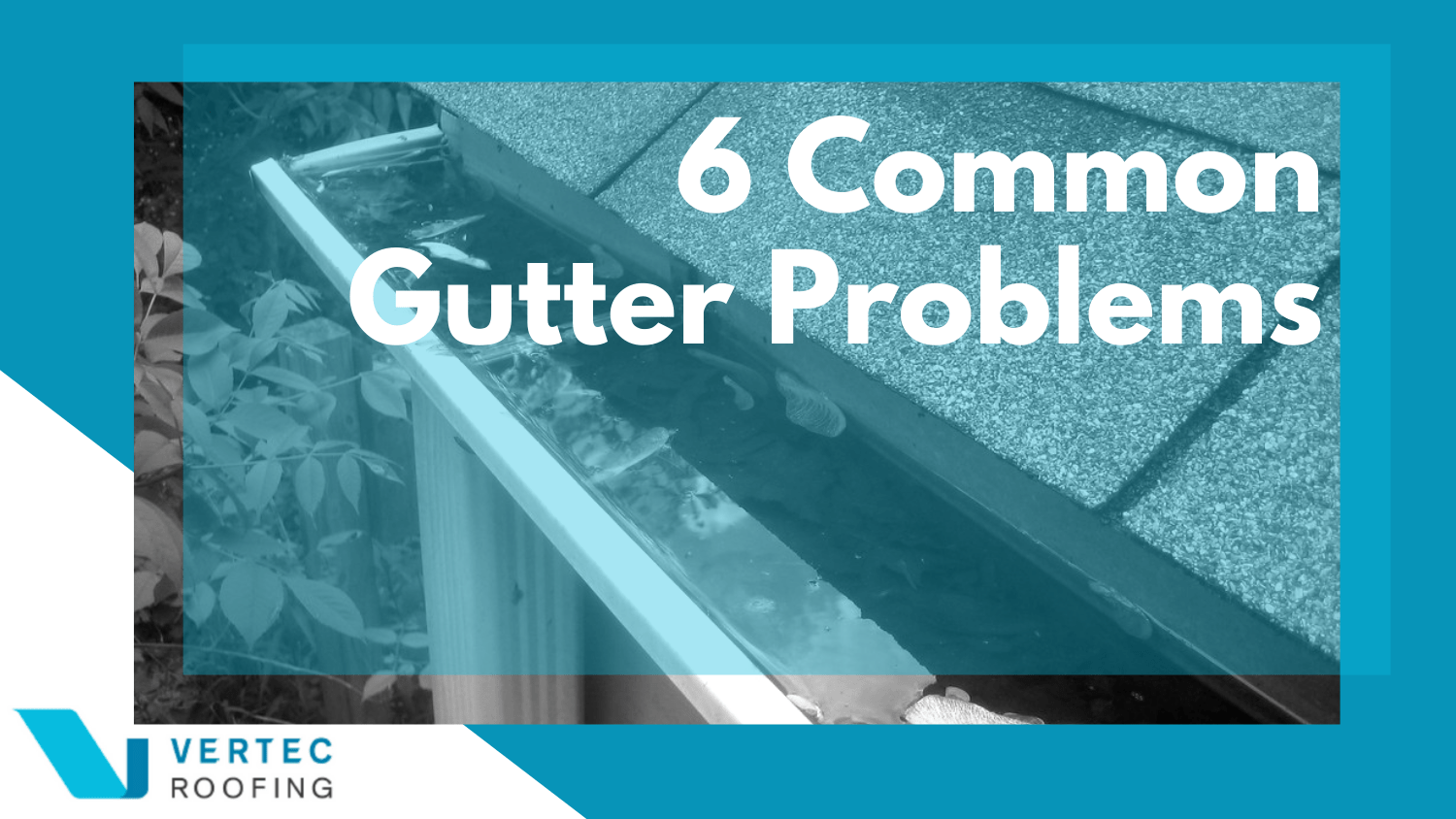 6 Common Gutter Problems & How You Can Mitigate the Risk