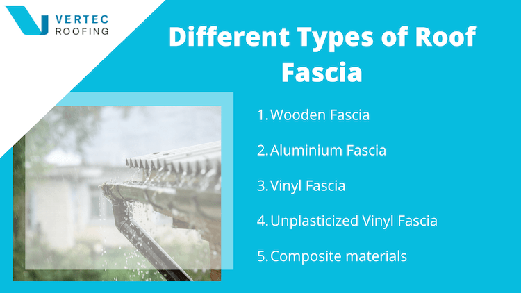 what is fascia made out of infographic