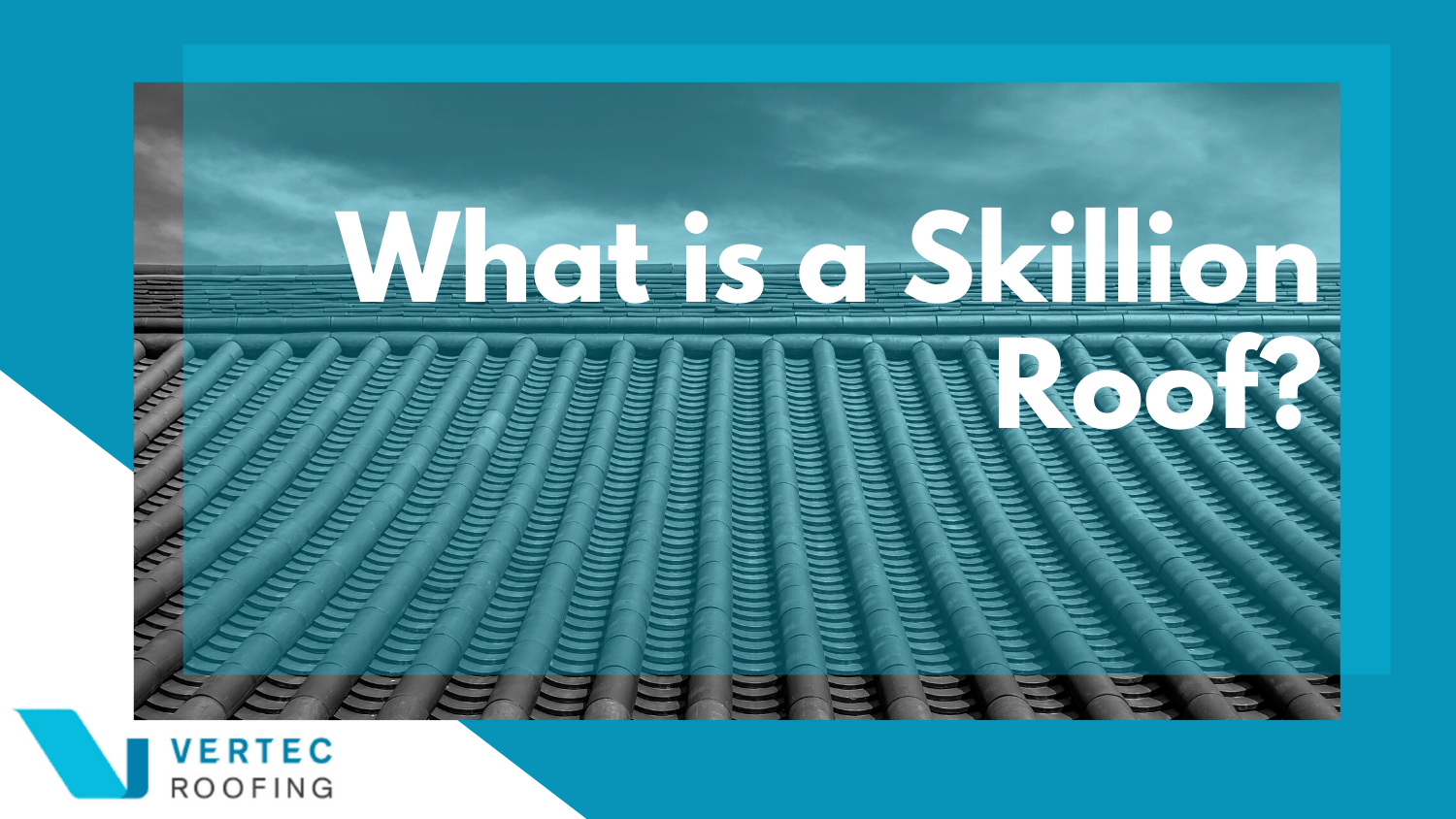 what is a skillion roof infographic