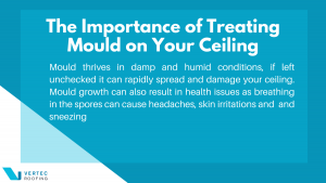 treating mould in roofing and ceiling