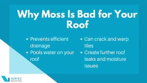 Is Moss Bad for Your Roof?