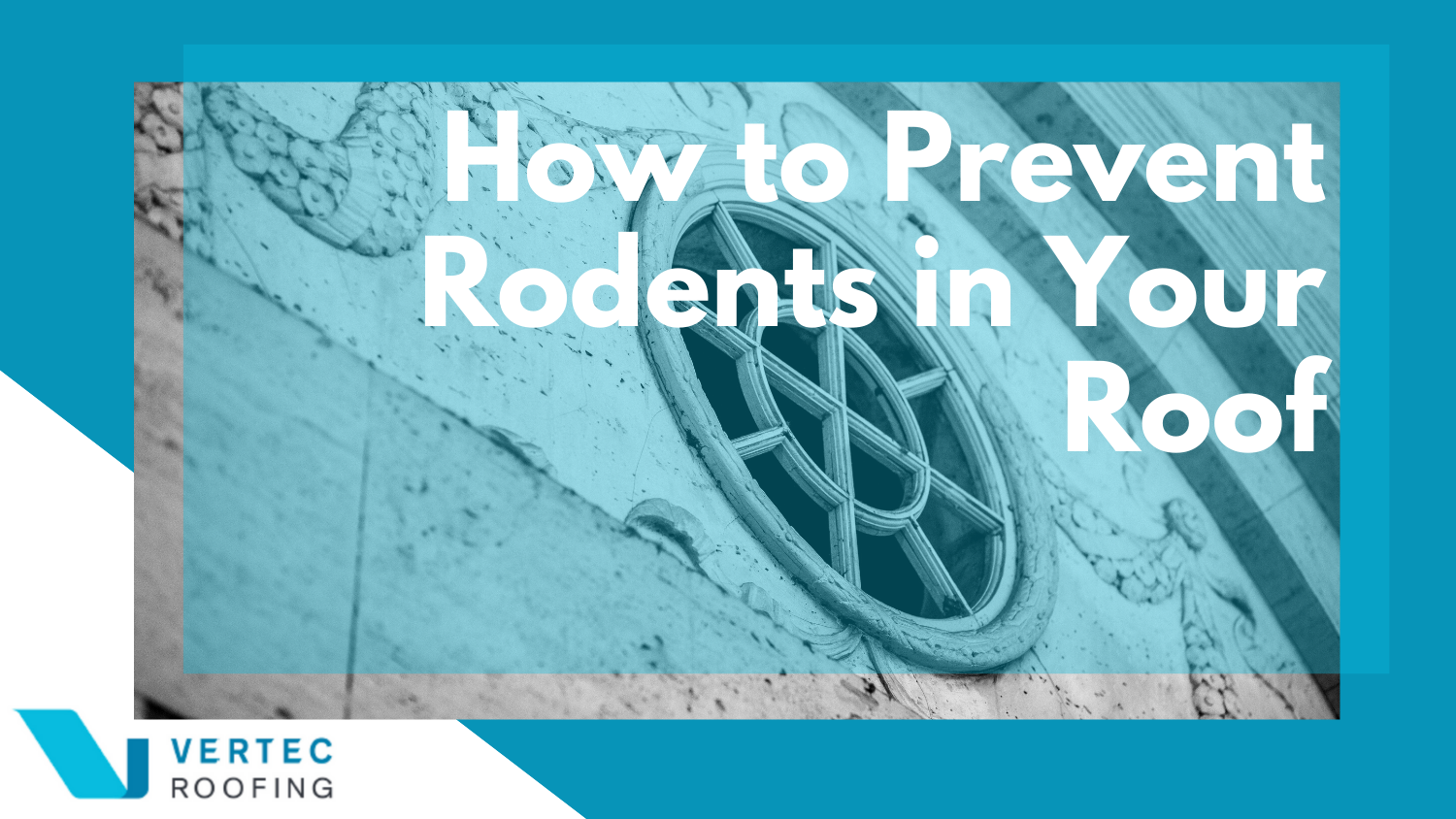 How to Prevent Rodents in Your Roof Cover Image