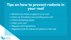 Tips on how to Prevent Rodents in Your Roof Infographic