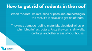 How to Prevent Rodents in Your Roof Infographic