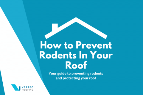 How to Prevent Rodents in Your Roof