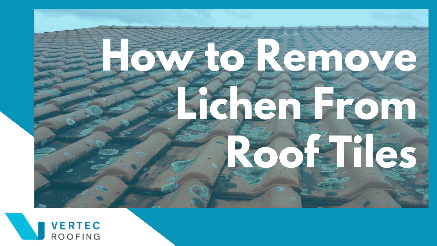 How to remove lichen from roof tiles cover picture
